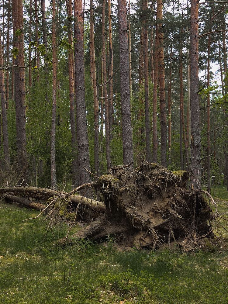 Photograph by Галина Махонь