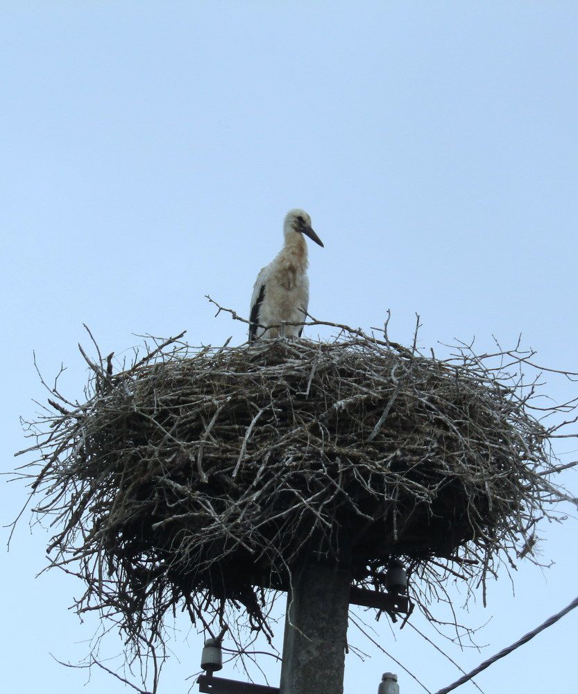 Photograph by Татьяна Смирнова