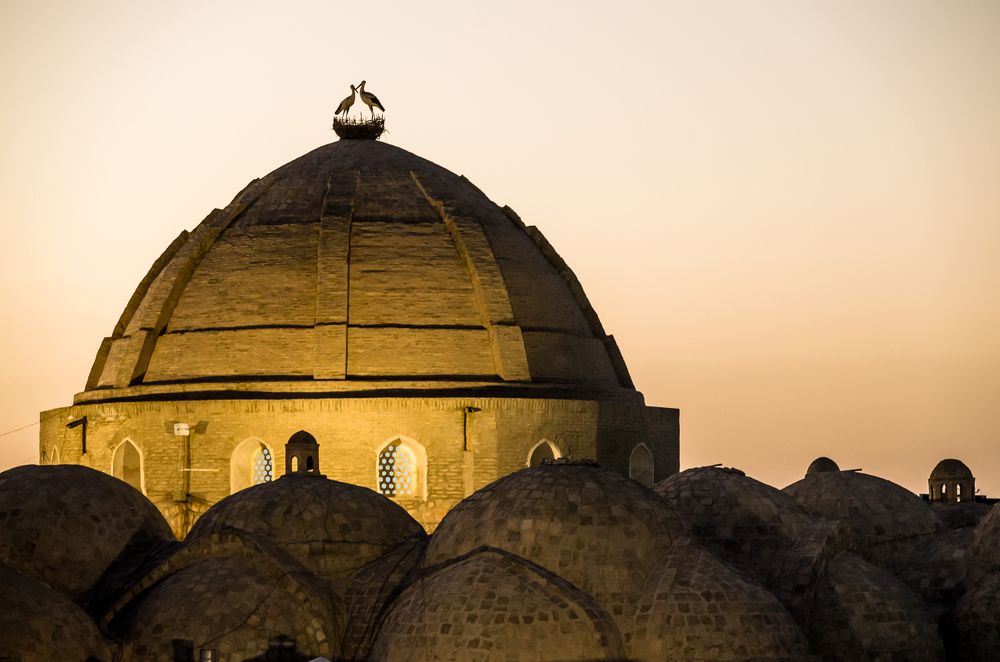 Photograph by Юлия Подлеснова