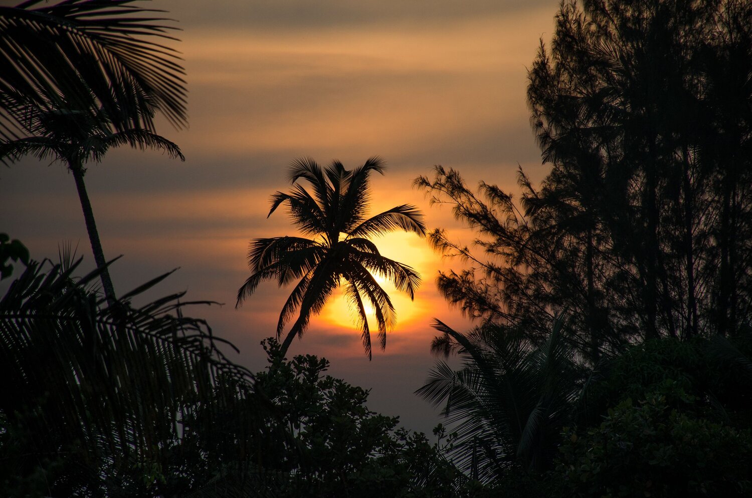 Photo #11783767