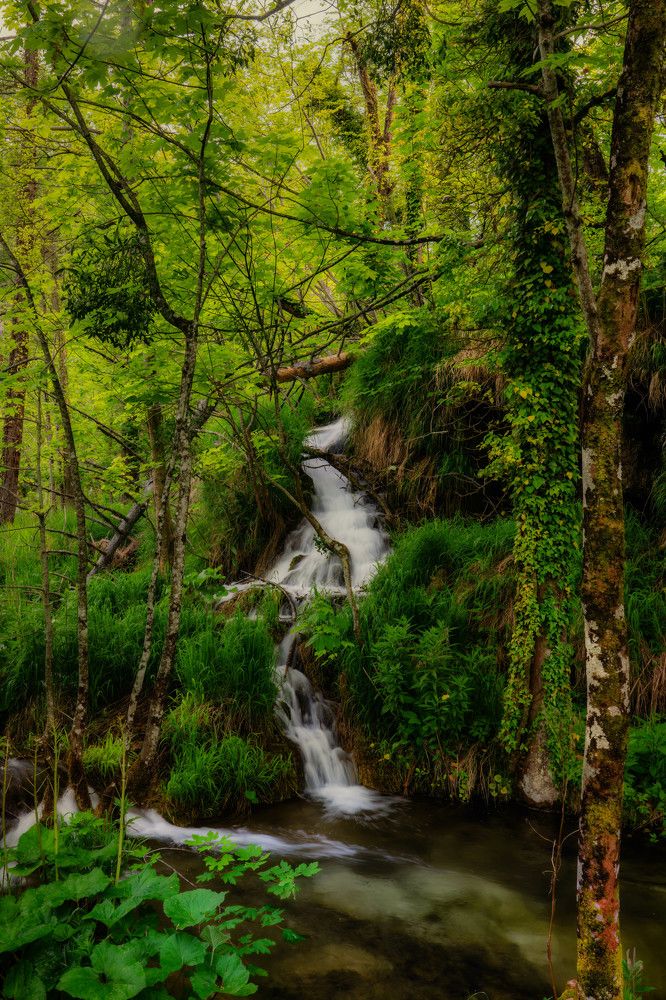 Photograph by Andrej Nihil