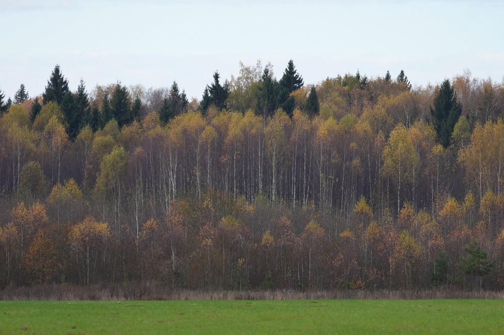 Photograph by Алексей Курносов