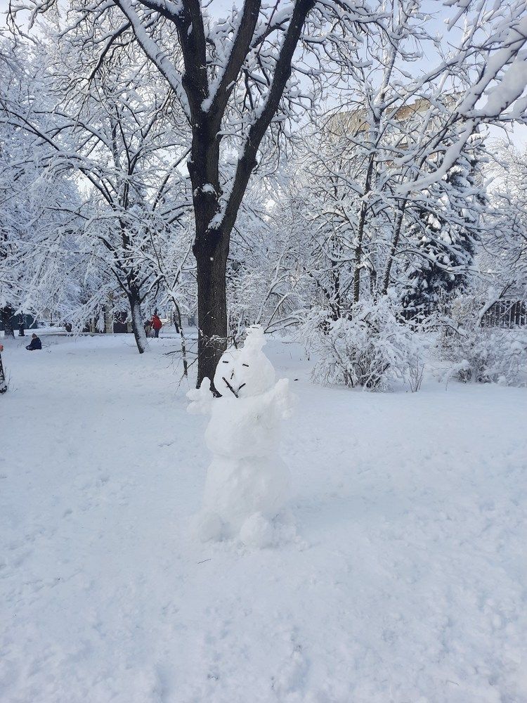 Долгожданный снег!