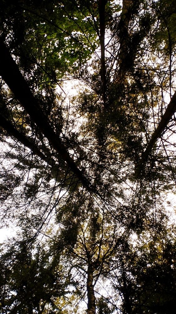 Photograph by Ия Дирко