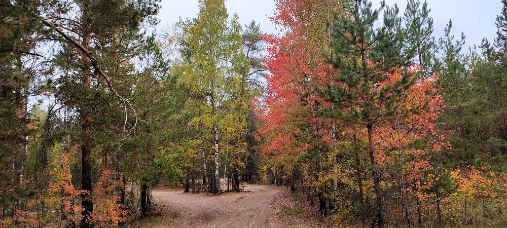 Photograph by Светлана Батурова