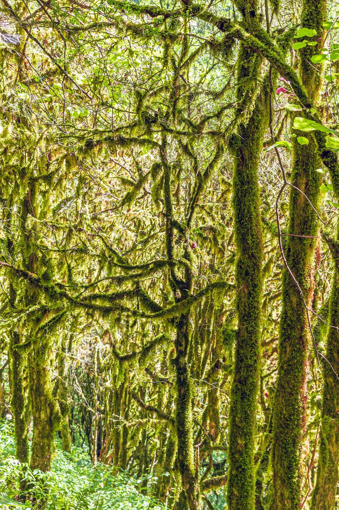 Photograph by Сергей Христинич