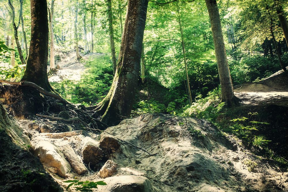 Photograph by Ольга Сельницына