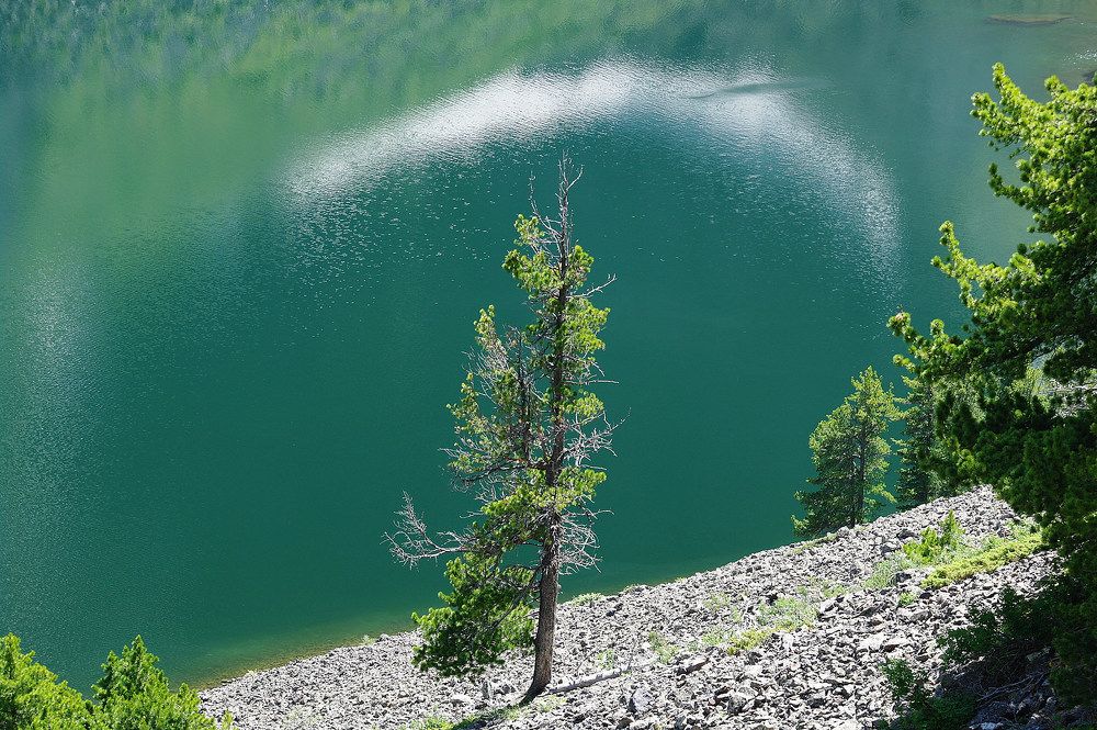 Photograph by Дмитрий Ткаченко