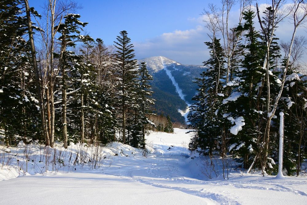 Photograph by Дмитрий Юдин