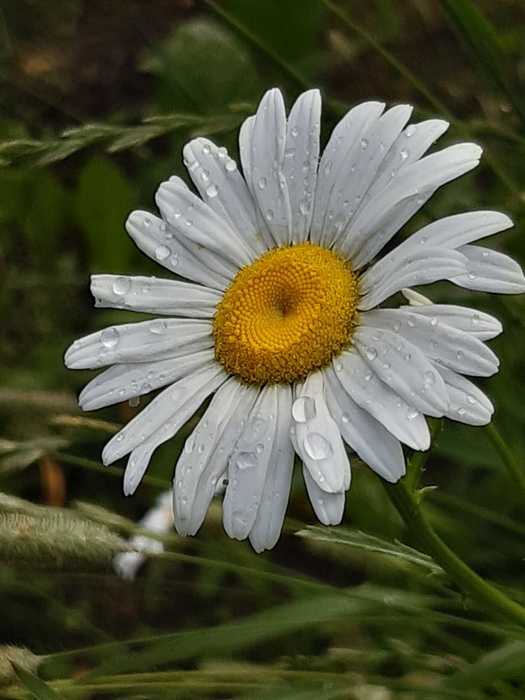 Photograph by Ольга