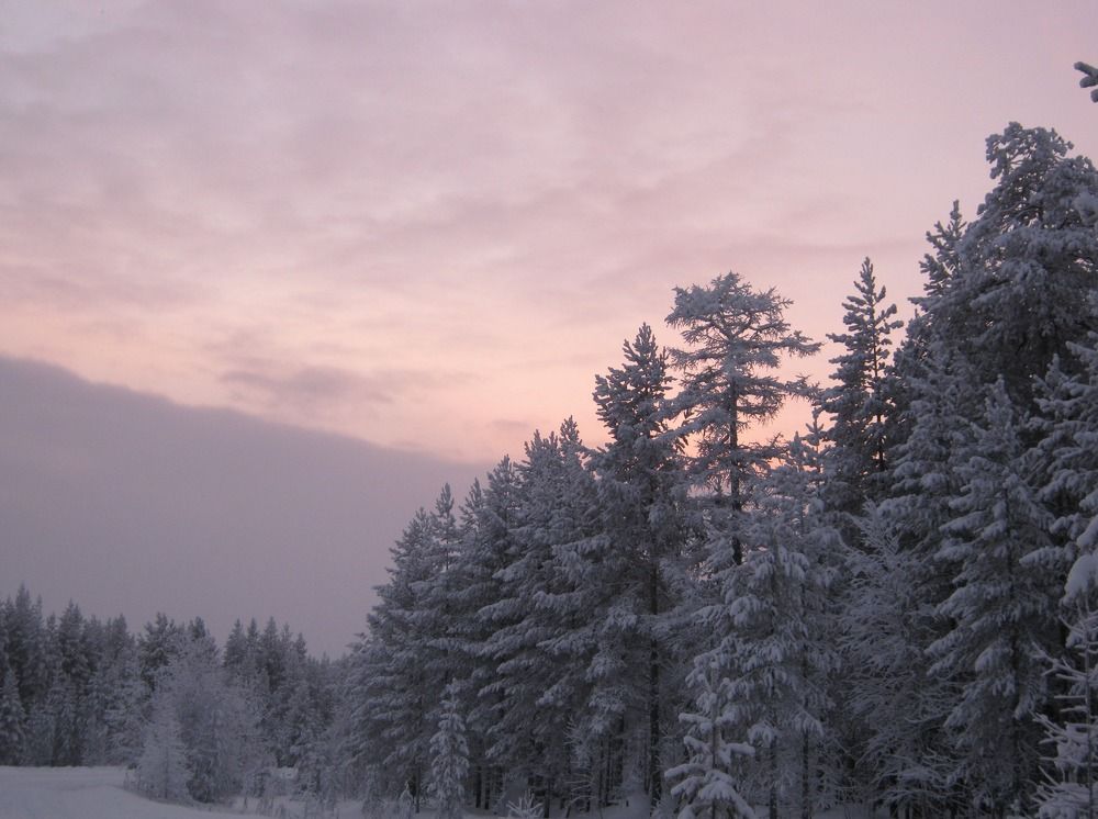 Фотография автора геннадий лалаев