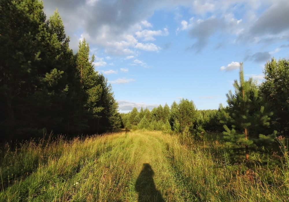Фотография автора Екатерина Солохина