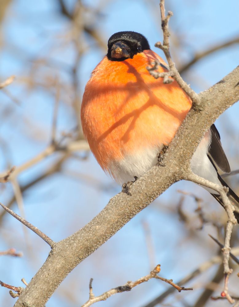 Photograph by Константин Ларин