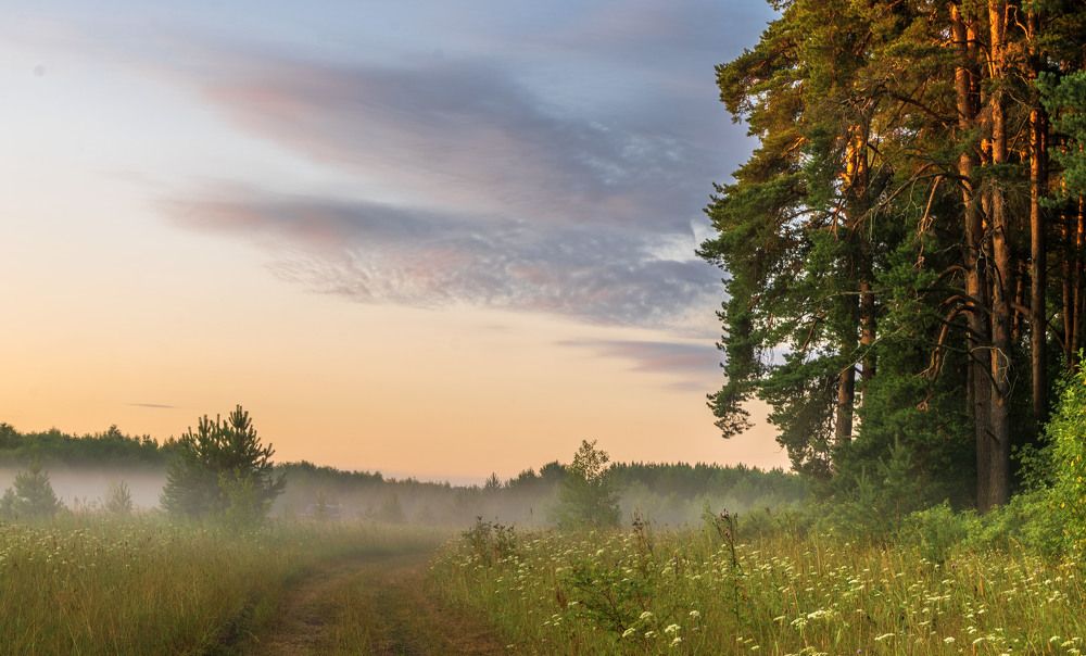 Рассвет встает