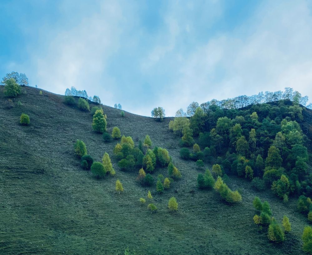 Photograph by Ксения Гулькова