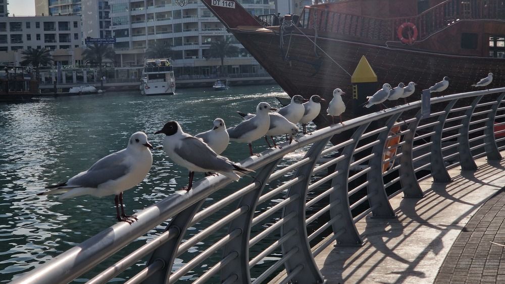 Photograph by Ольга Крестьянинова