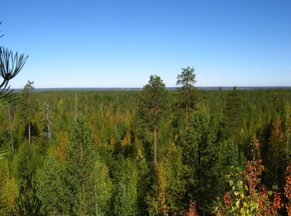 Фотография автора геннадий лалаев