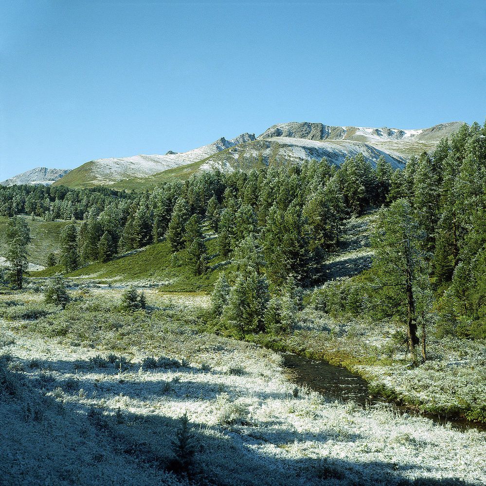 Photograph by Дмитрий Ткаченко