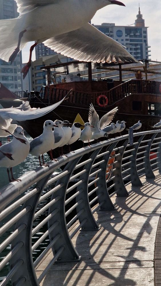 Photograph by Ольга Крестьянинова