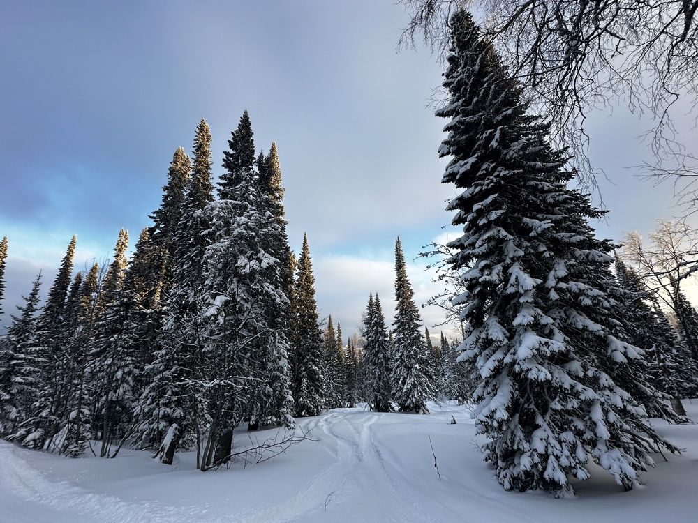 Photograph by Мария Петрова