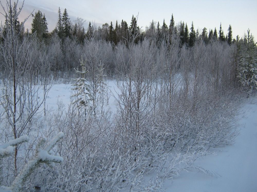 Фотография автора геннадий лалаев