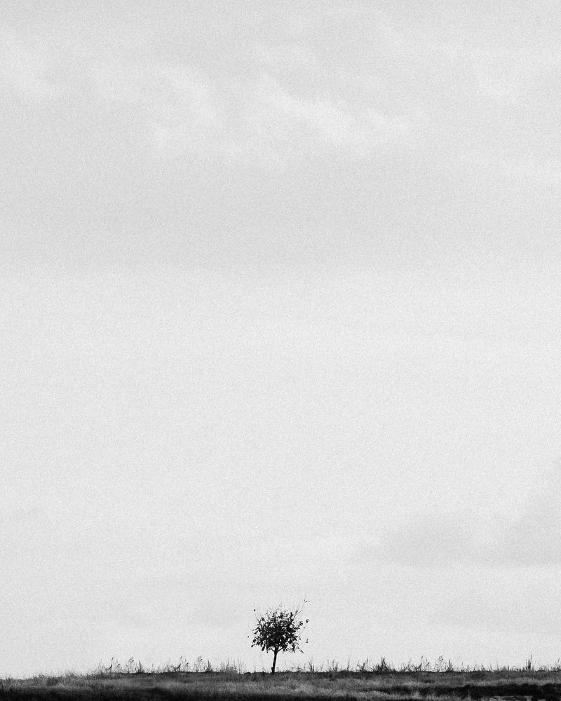 Фотография автора Sotiris Dimitrakopoulos