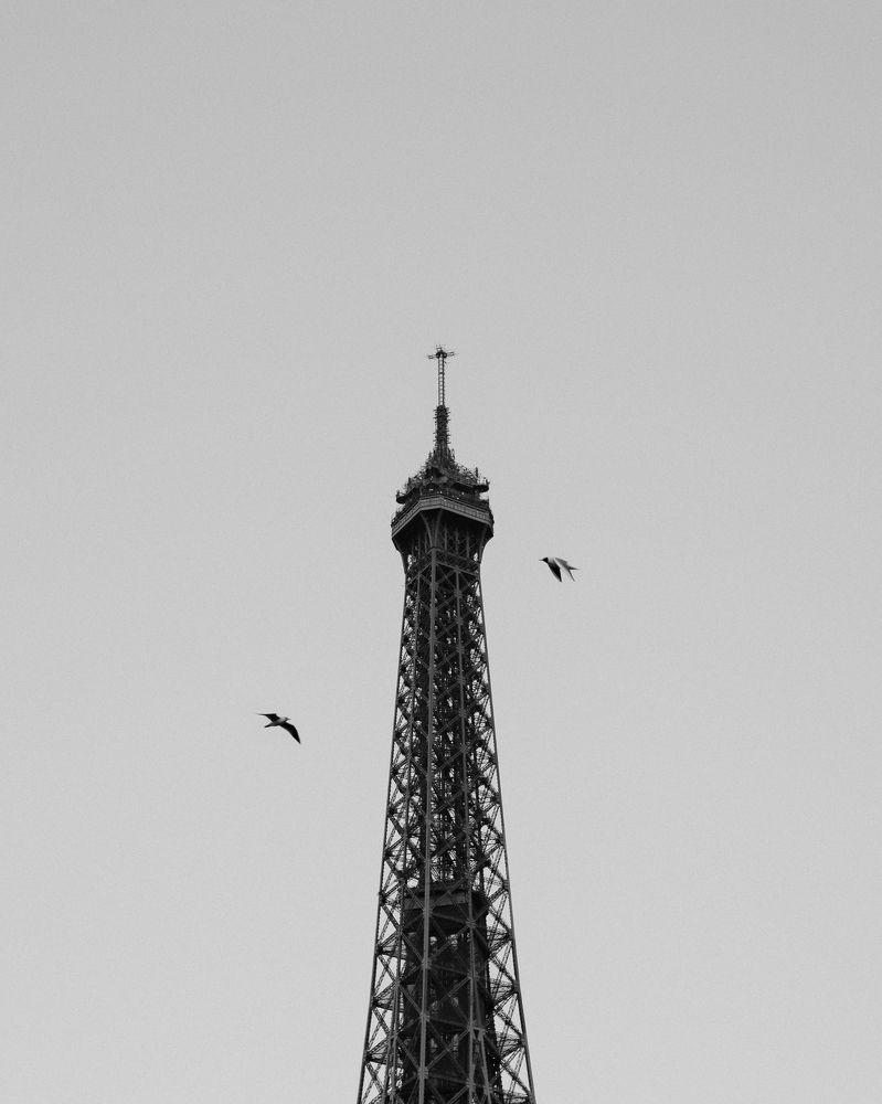 Фотография автора Sotiris Dimitrakopoulos