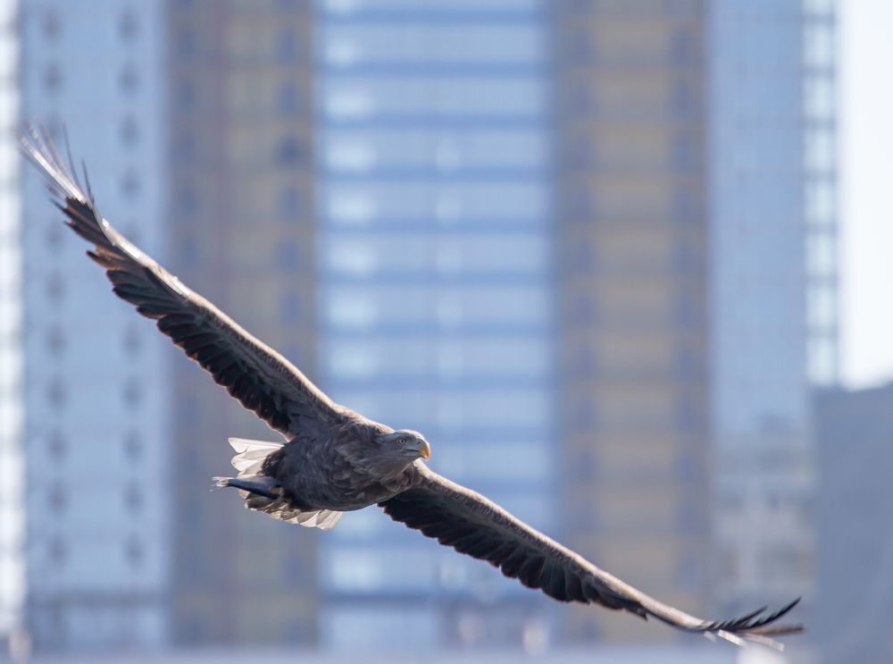 Photograph by Матвей Матвеев