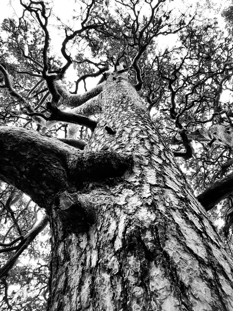 Photograph by Александр Лопатин