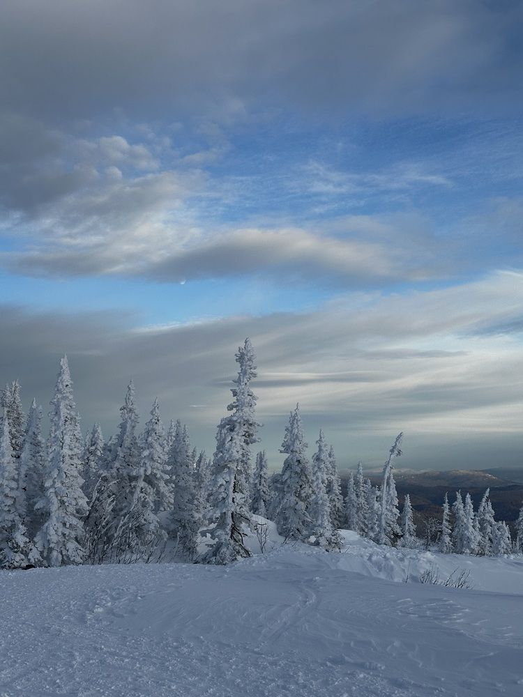 Photograph by Мария Петрова