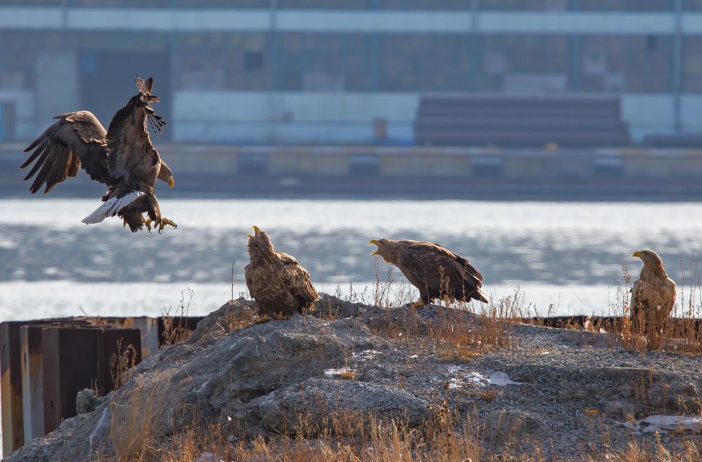 Photograph by Матвей Матвеев