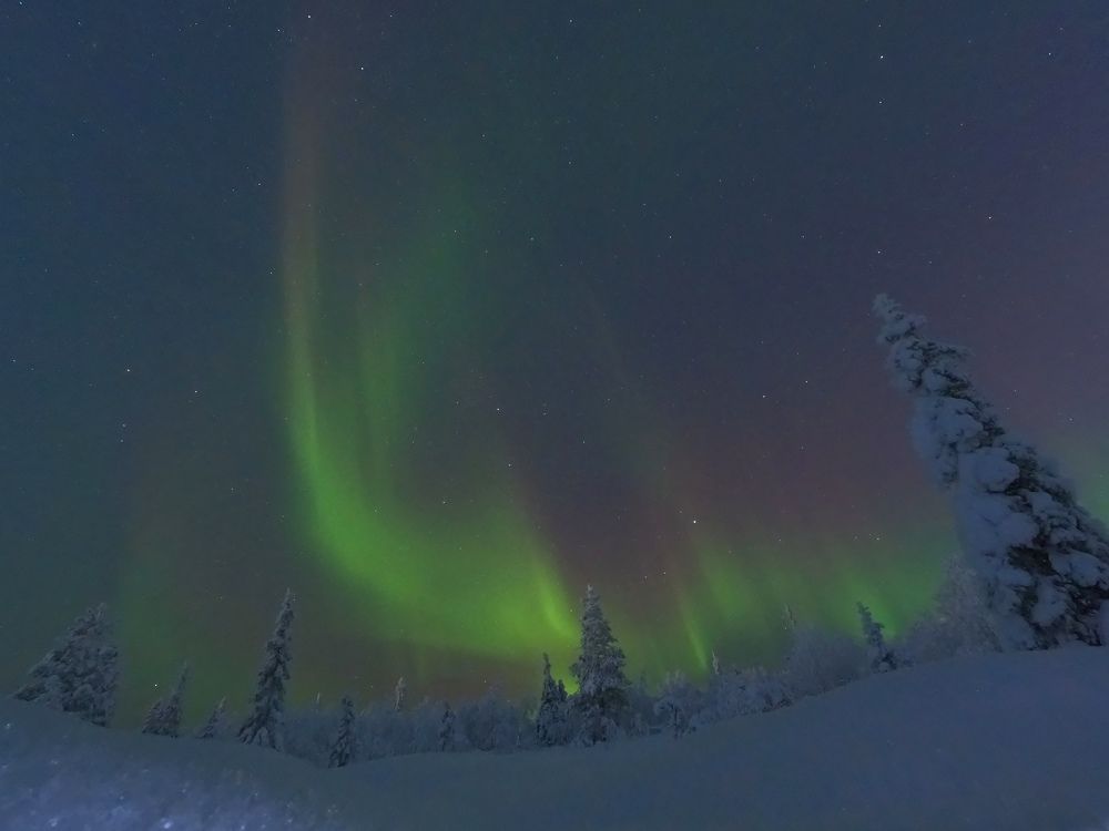 Photograph by Елена