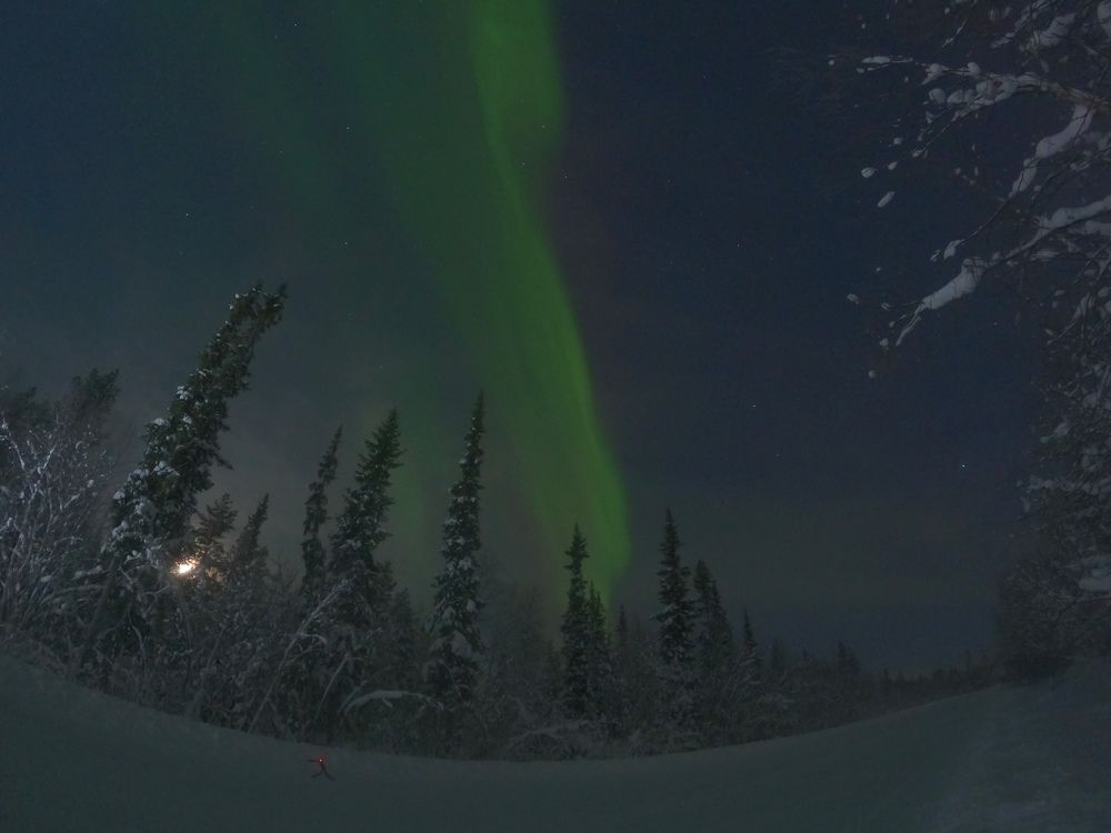 Зимняя сказка в лесу