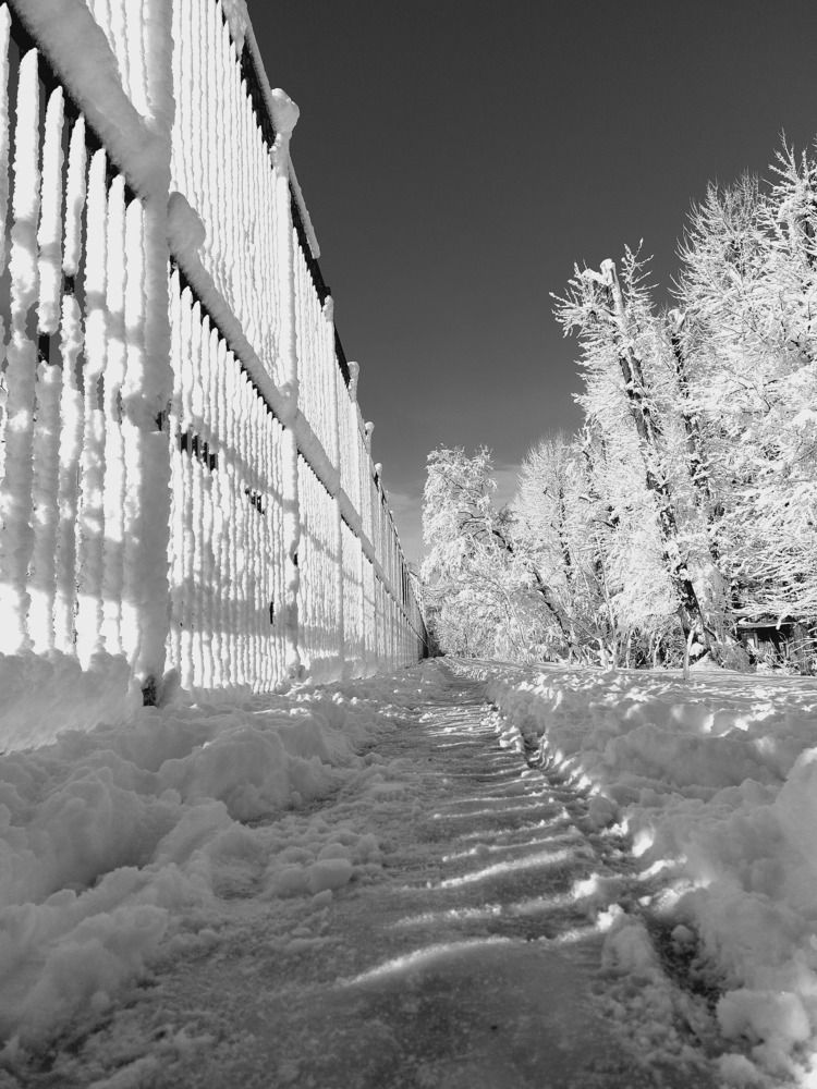 Photograph by Александр Лопатин