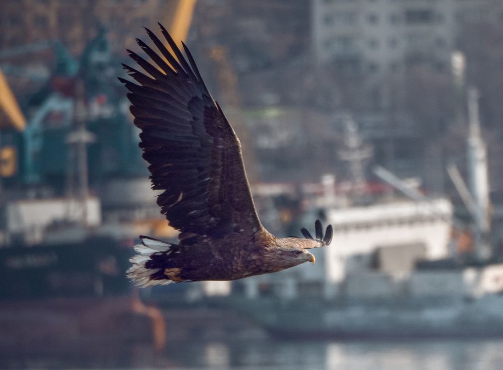 Photograph by Матвей Матвеев