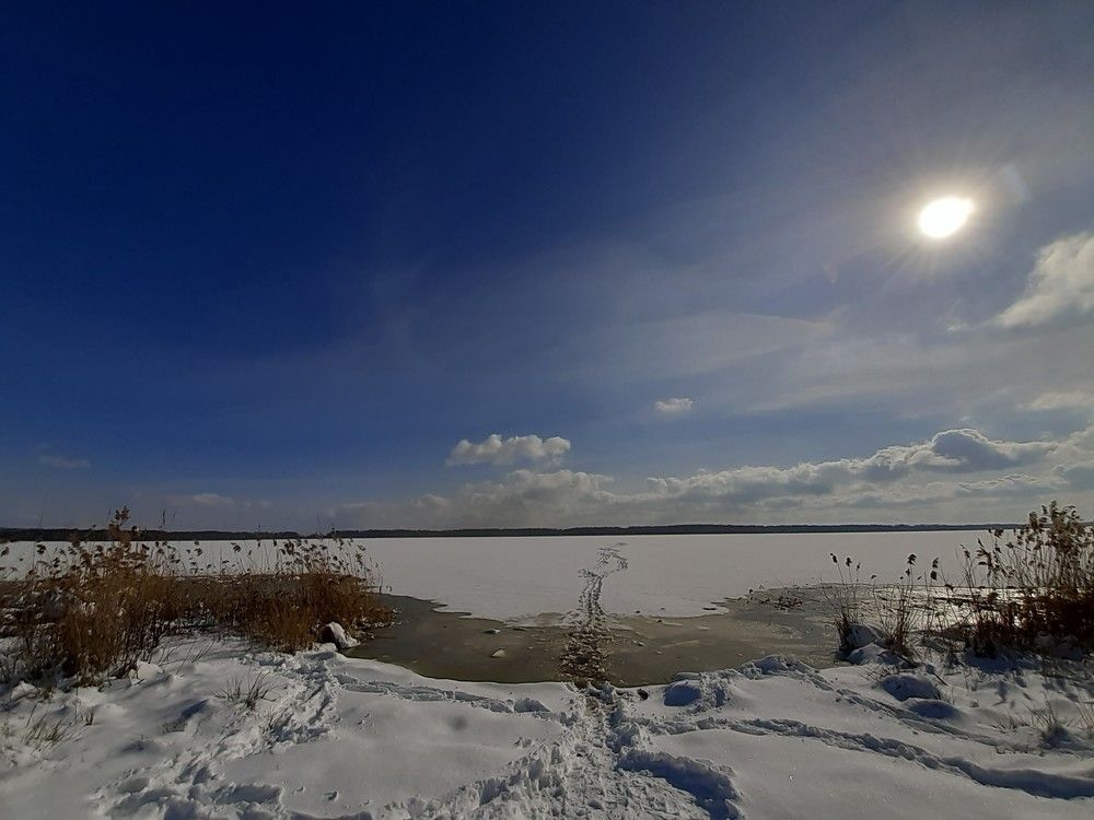 Photograph by Ольга
