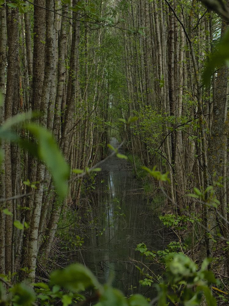 Фотография автора Ольга Панасюк