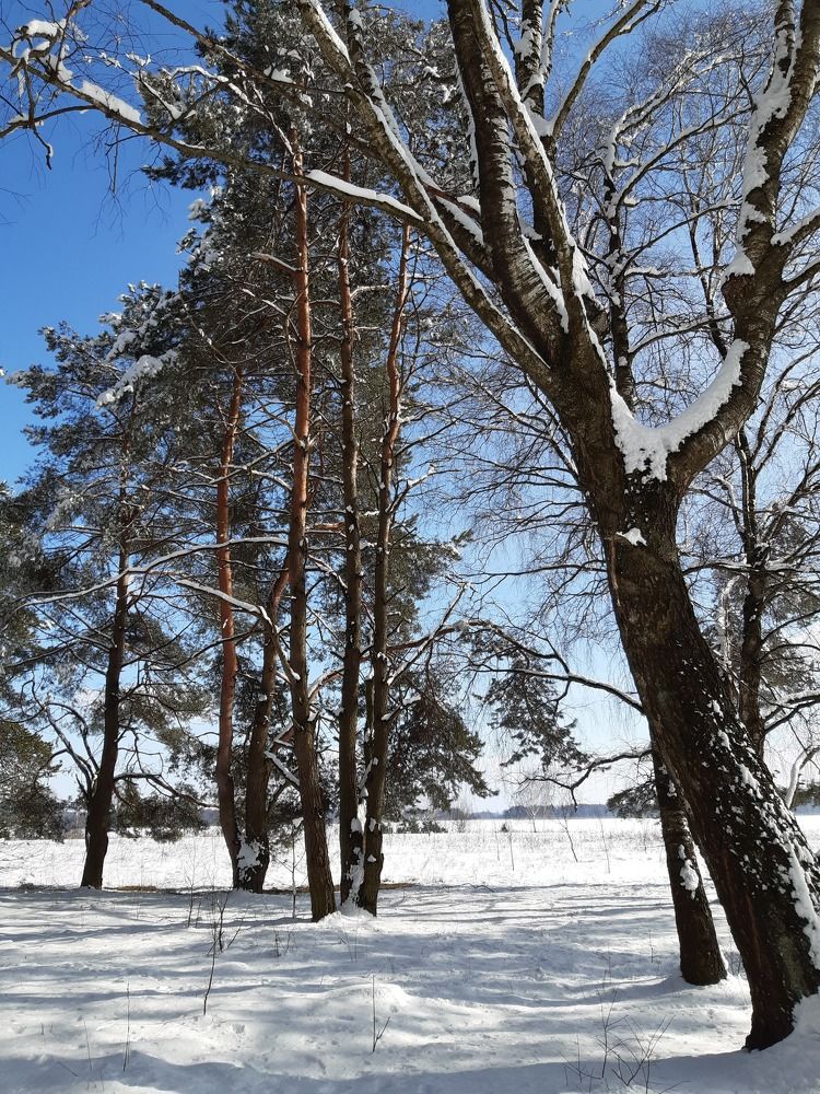 Photograph by Ольга