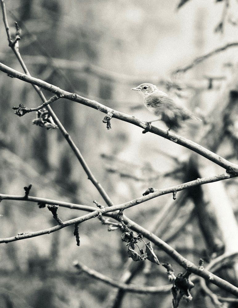 Photograph by Евстратова Оксана