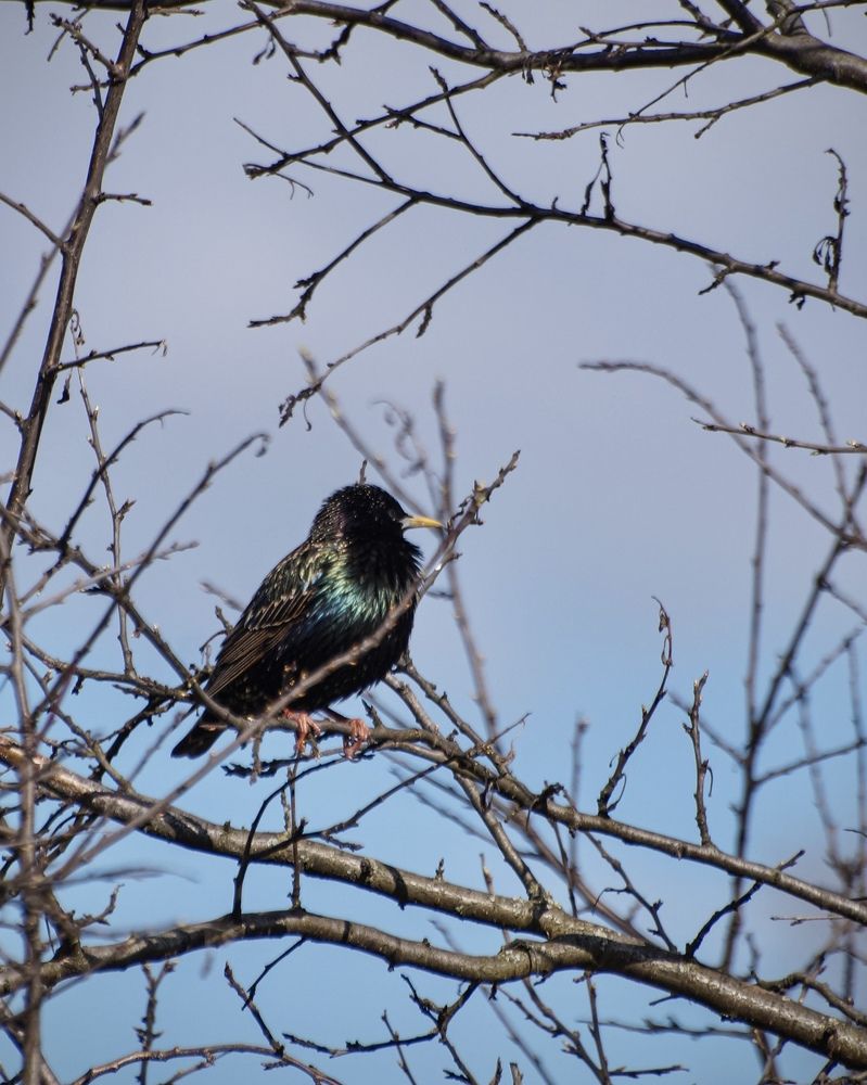 Photograph by Евстратова Оксана