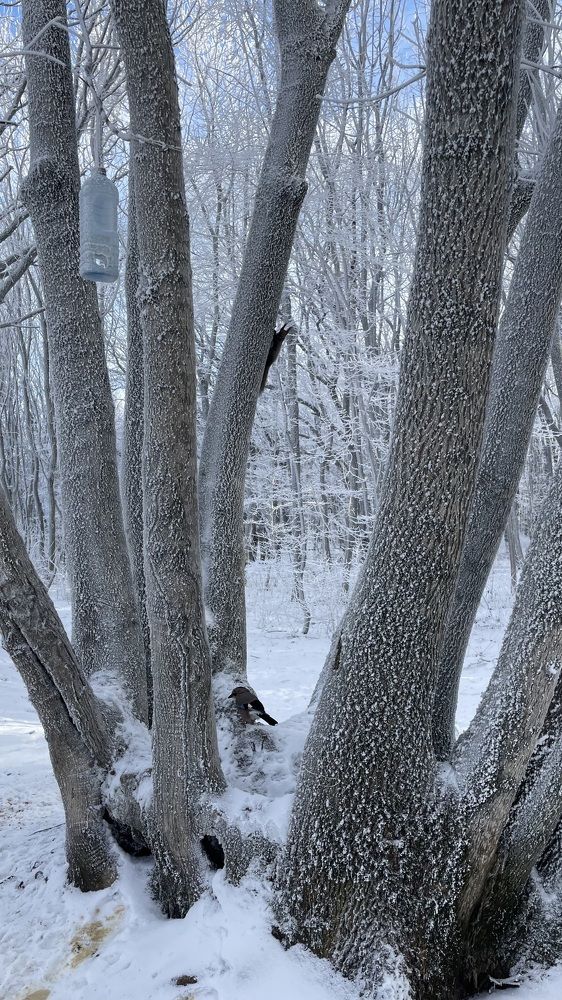 Photograph by Рузанна Гюрджян