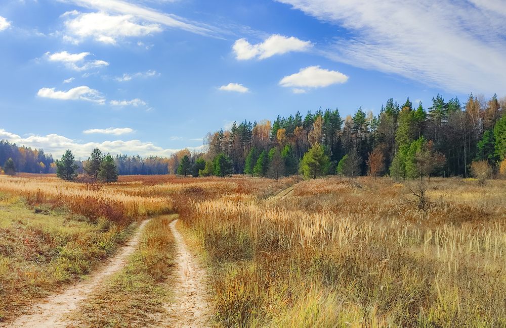 Photograph by Алёна Пшеленская