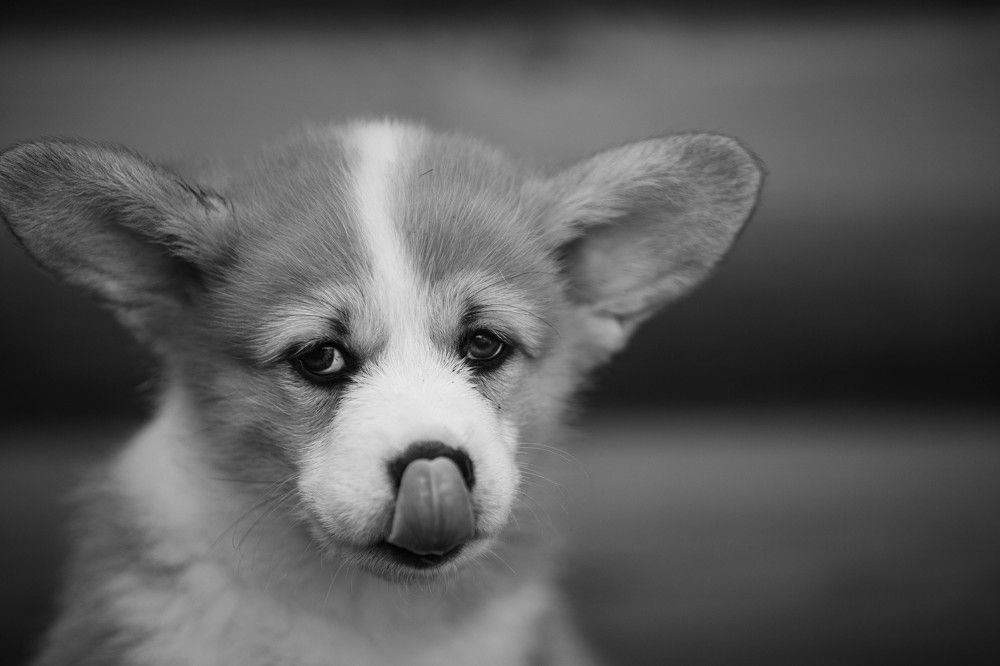 Photograph by Михаил Панфилов