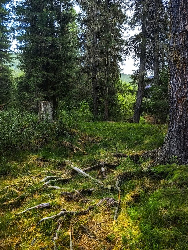 Photograph by OLGA MIKHNEVICH