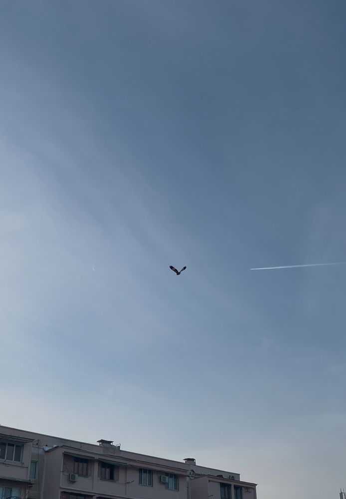 Photograph by Нигора Каримова