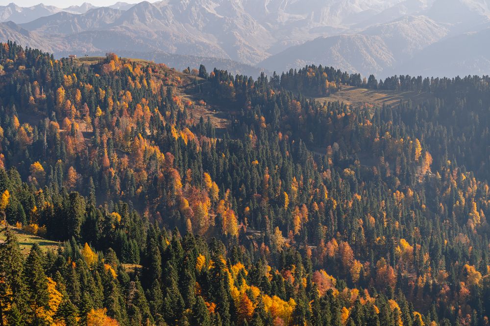 Фотография автора Анастасия Мазурева