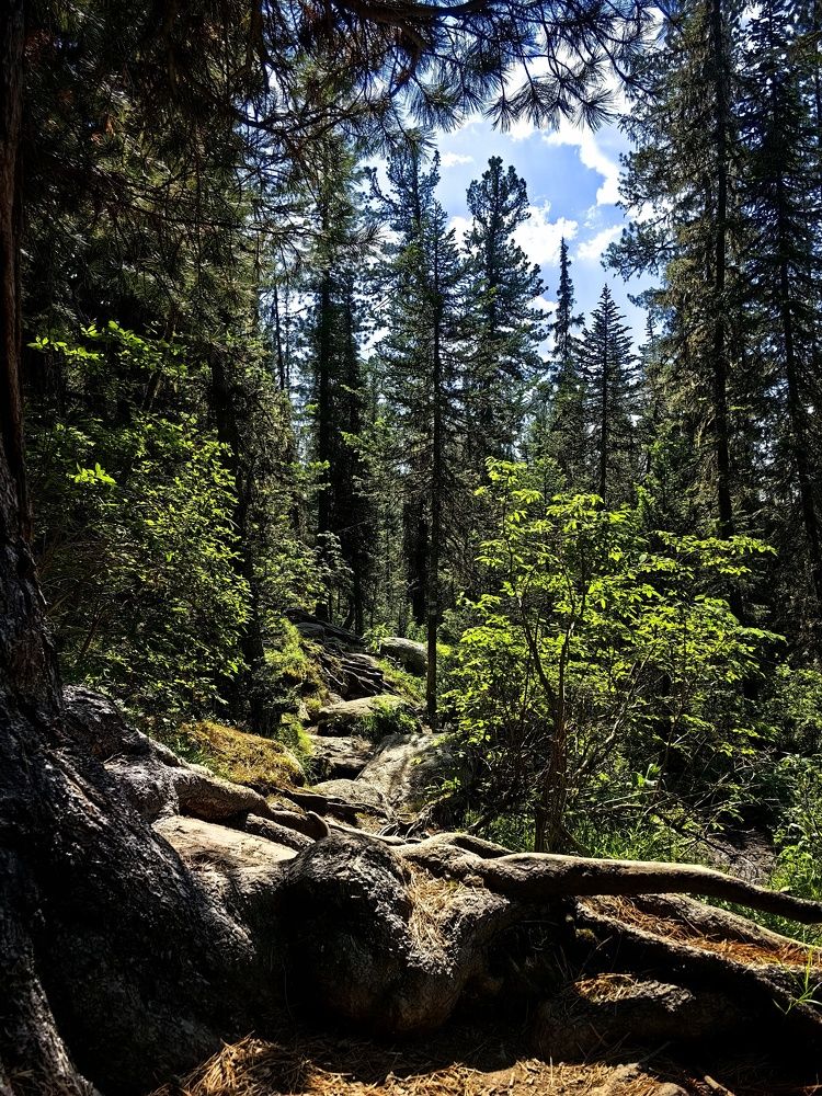 Photograph by OLGA MIKHNEVICH