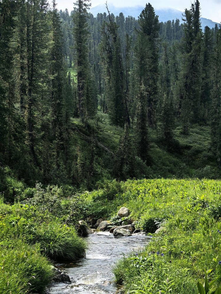 Photograph by OLGA MIKHNEVICH