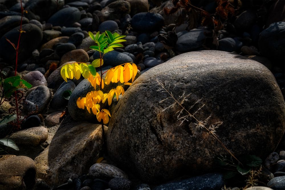 Photograph by Владимир Кваша