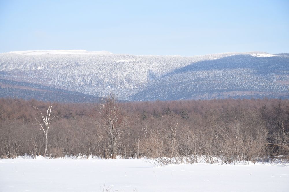 Photograph by Роман Блинов